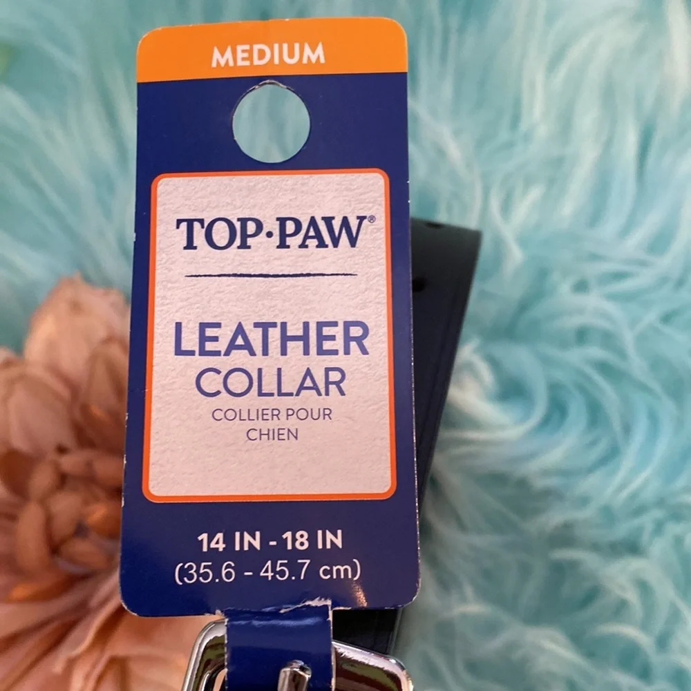Dog Collar Black Leather With Silver Bones Medium NEW!